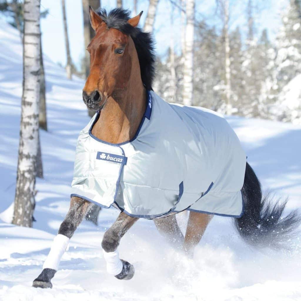 Test de la couverture cheval Bucas Power Turnout Light - 140 argent
