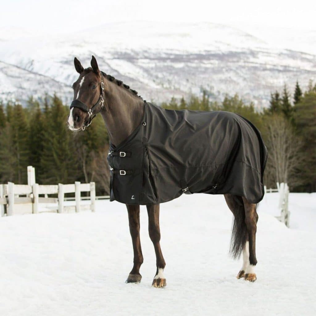Test de la couverture de pluie Horze Nevada pour cheval : légère et imperméable