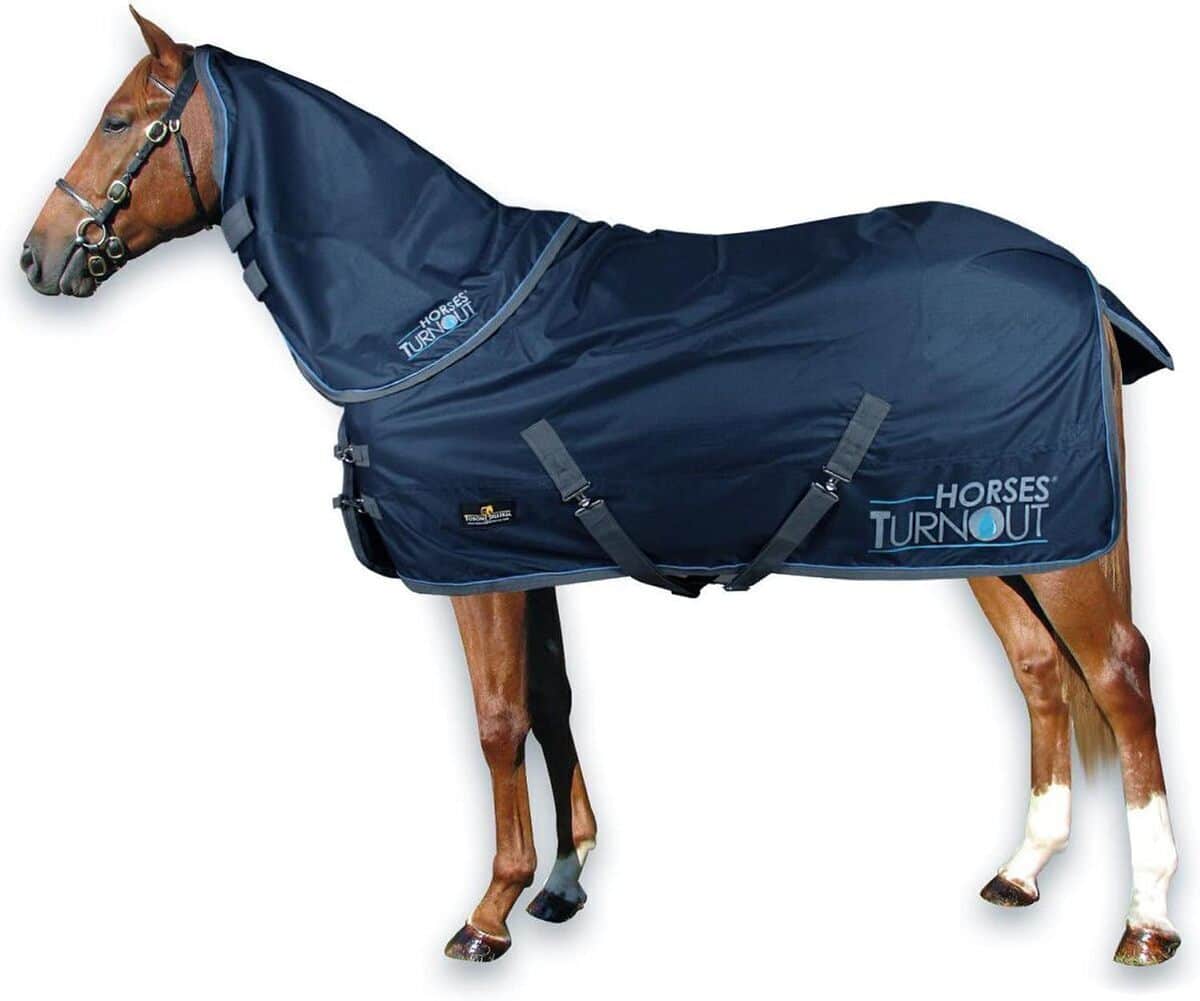 Test de la couverture d'écurie imperméable Horses avec couvre-cou amovible 145 cm