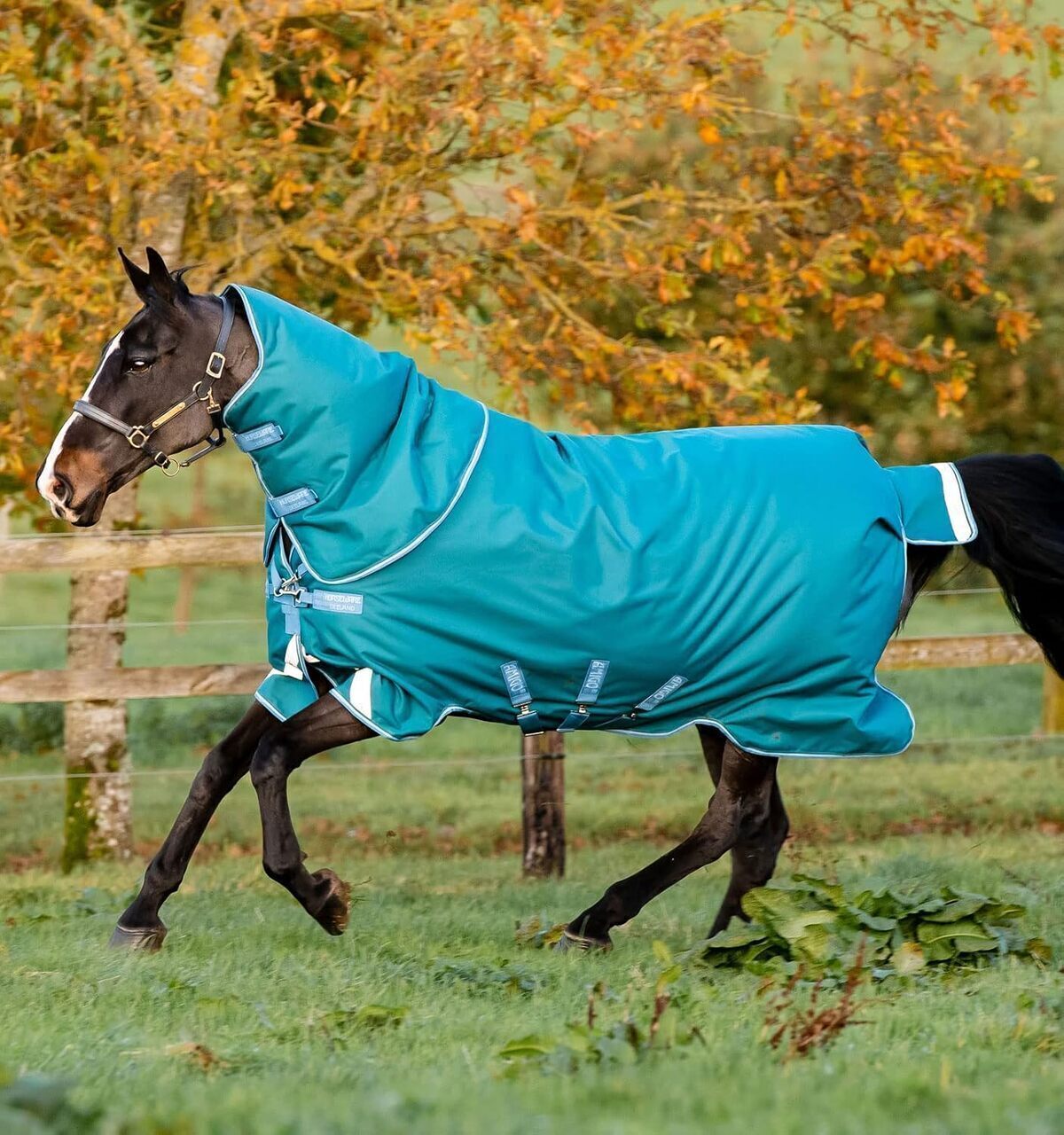 Test de la couverture Horseware Amigo Bravo 12 Plus Heavy 400g